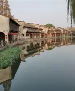 关于徽州黑豹队对阵江汉鲸鲨队，电竞杯赛读秒绝平，门将神扑救主——门前嗅觉决定胜负的信息
