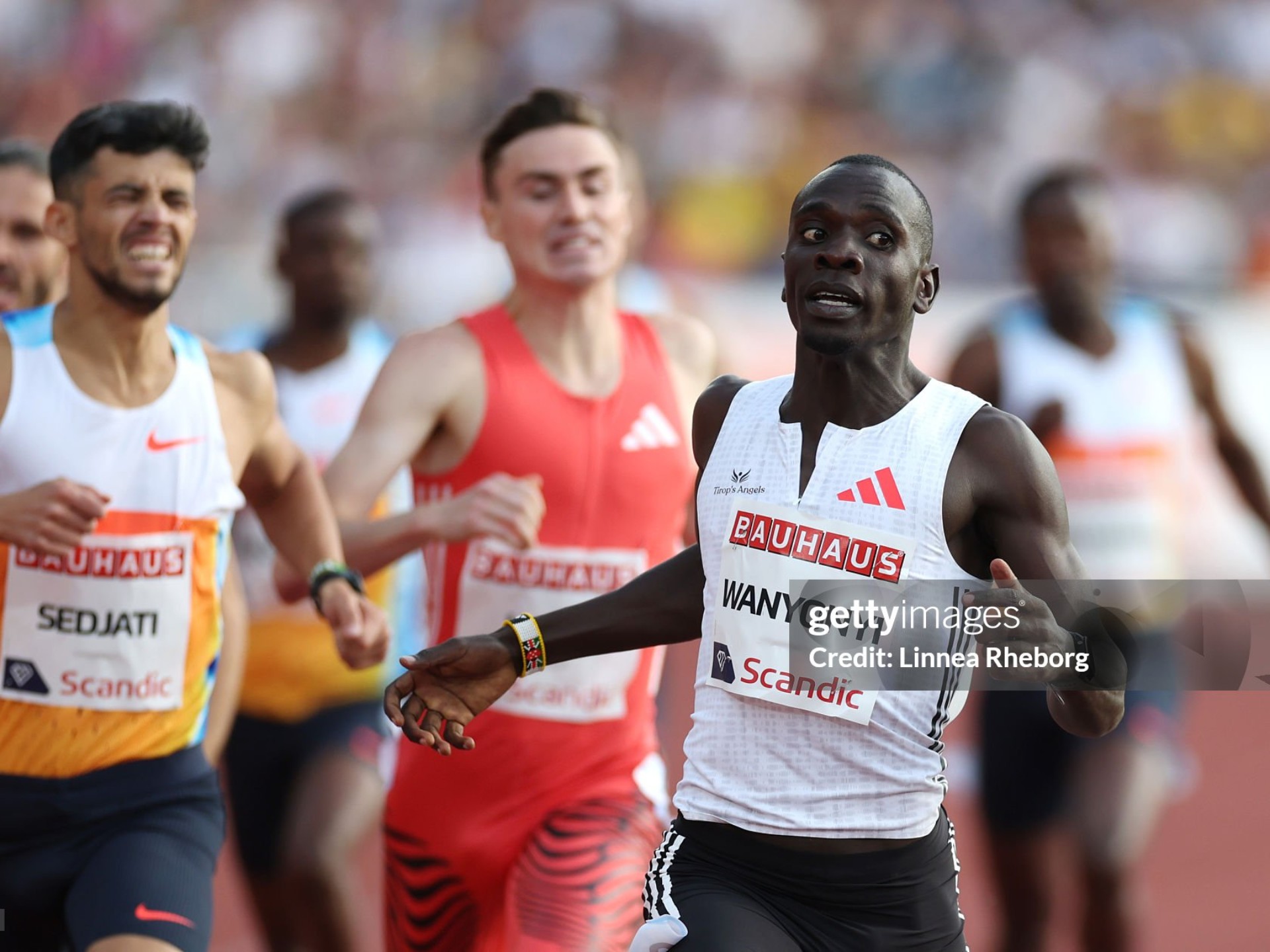 关于赛地聚焦——全明星赛冲刺阶段热度飙升,纽卡斯尔强势反弹,赛场秩序良好,训练强度明显提升的信息 关于赛地聚焦——全明星赛冲刺阶段热度飙升,纽卡斯尔强势反弹,赛场秩序良好,训练强度明显提升的信息